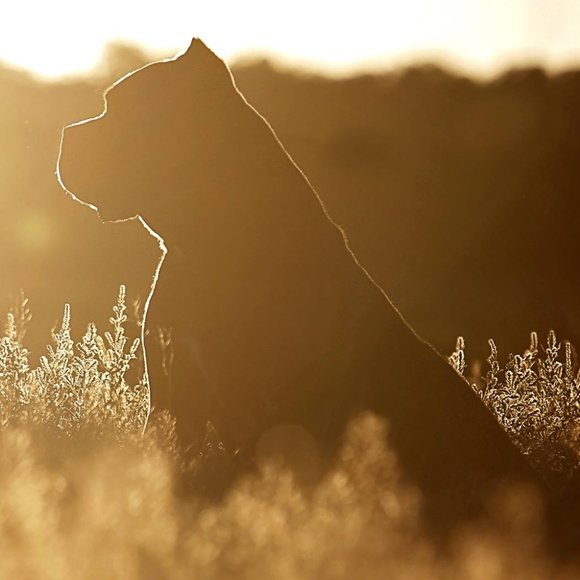 Meet your Posher, Laura - Picture 1 of 1